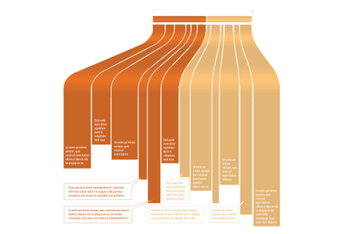 Infografiche personalizzate Infografiche personalizzate